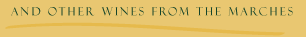 width="306"